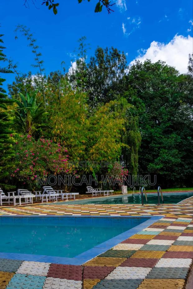 2 Br Airbnb Nanyuki With a Pool - thumbnail 8