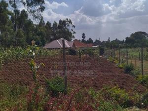 Property Plot and Lands - thumbnail 2