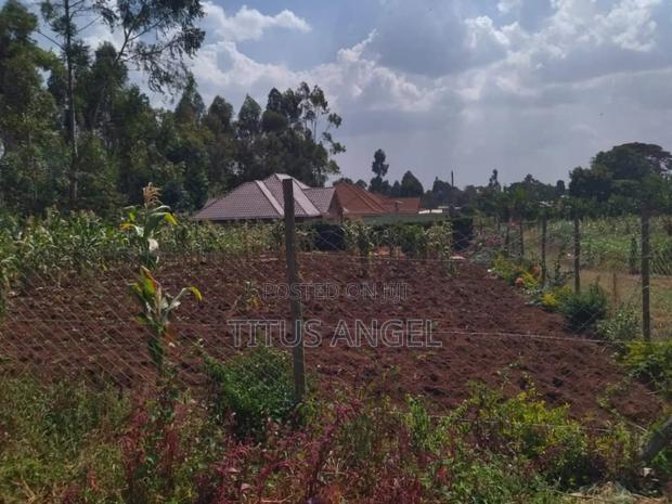 Property Plot and Lands - main view