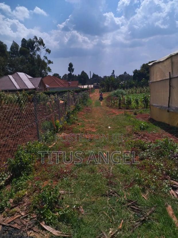 Property Plot and Lands - thumbnail 3