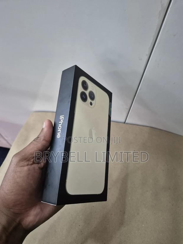 Apple iPhone 13 Pro Max 256 GB Gold - thumbnail 12