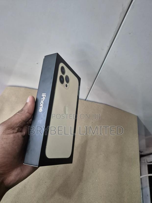 Apple iPhone 13 Pro Max 256 GB Gold - thumbnail 13