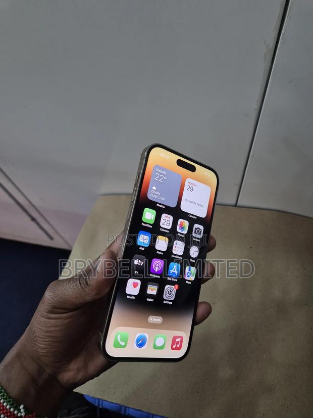 Apple iPhone 14 Pro Max 256 GB Gold - thumbnail 9