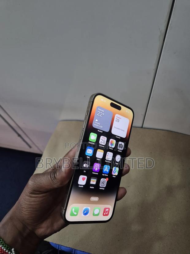 Apple iPhone 14 Pro Max 256 GB Gold - thumbnail 10