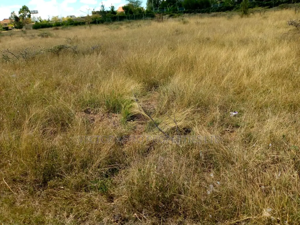 Plots for Sale