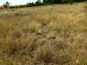 Plots for Sale