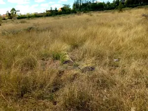 Plots for Sale