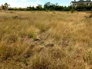 Plots for Sale
