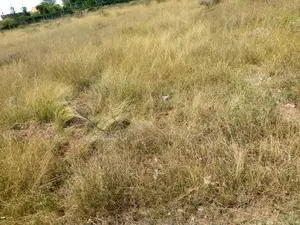 Plots for Sale