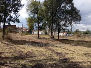 These Are Very Prime Commercial Plots 2nd Row From the Tarmac Road.