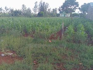 Land for Sale - thumbnail 2