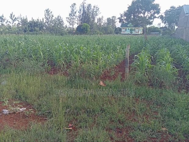 Land for Sale - main view