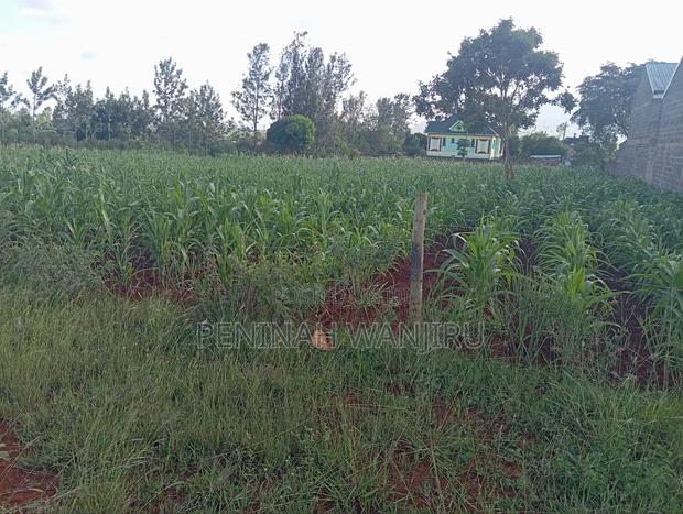 Land for Sale - thumbnail 3