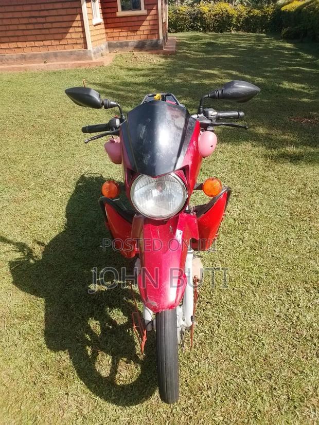 TVS 2023 Red - thumbnail 3