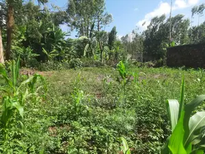 50*100 Prime Land in Gakwegori, Embu