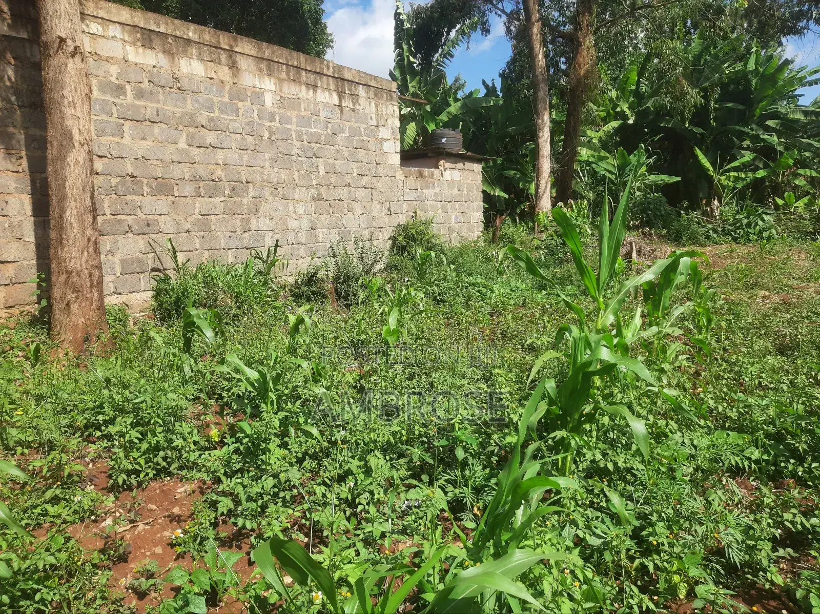 50*100 Prime Land in Gakwegori, Embu