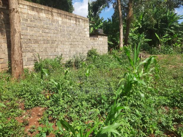 50*100 Prime Land in Gakwegori, Embu - thumbnail 3
