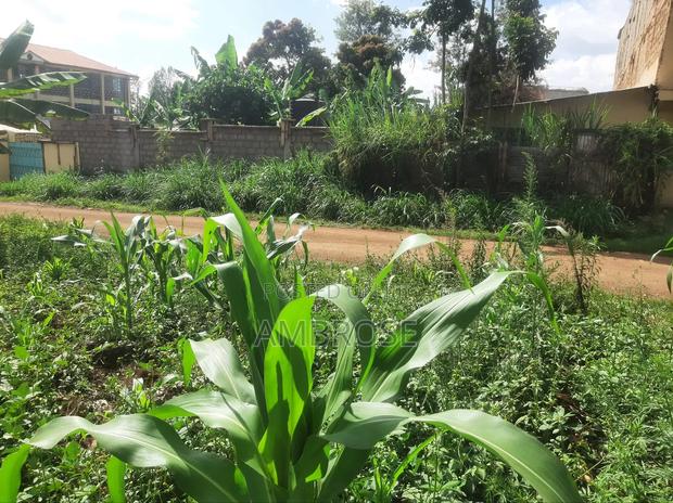 50*100 Prime Land in Gakwegori, Embu - thumbnail 5