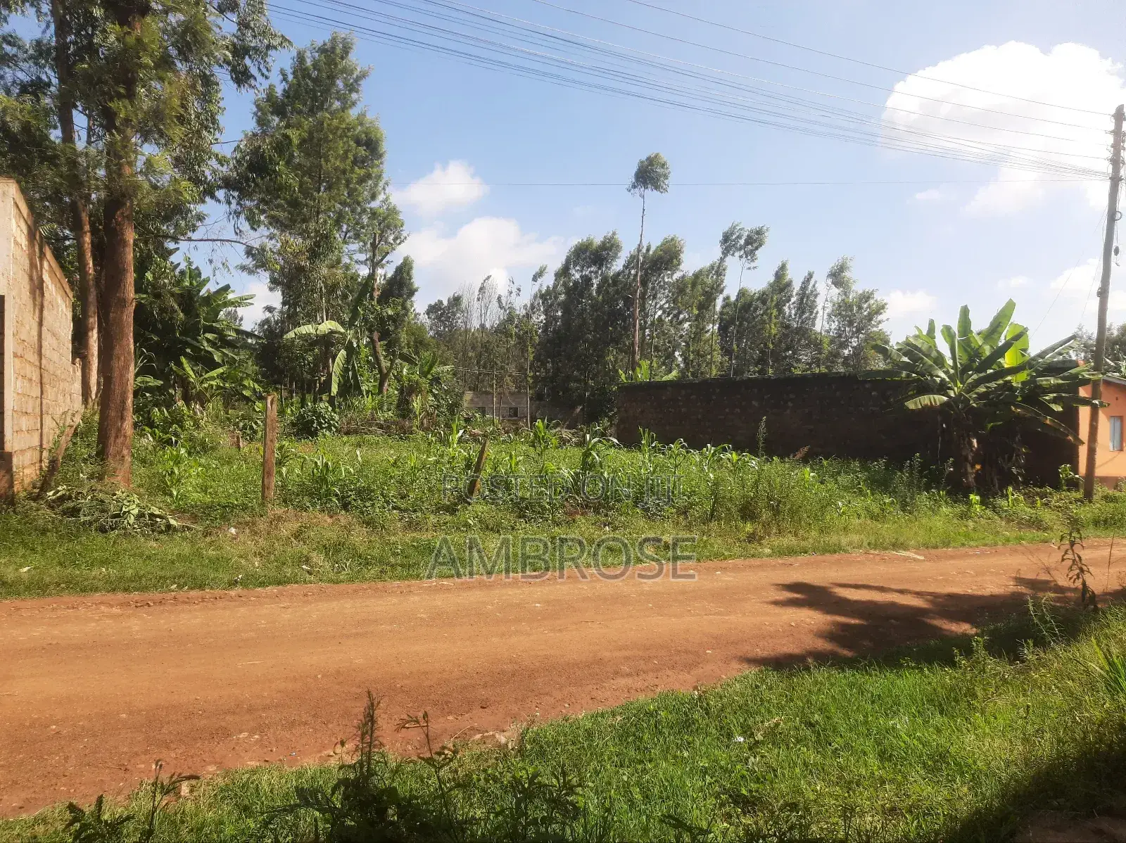 50*100 Prime Land in Gakwegori, Embu