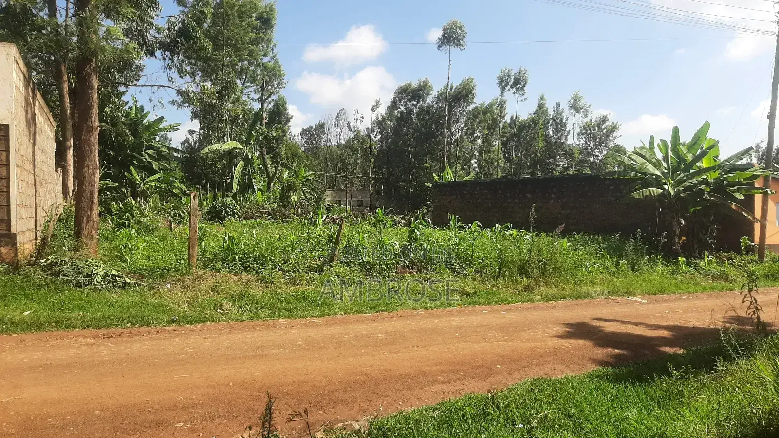 50*100 Prime Land in Gakwegori, Embu