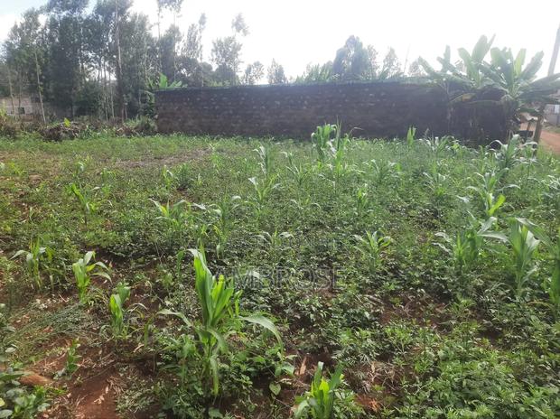 50*100 Prime Land in Gakwegori, Embu - thumbnail 11