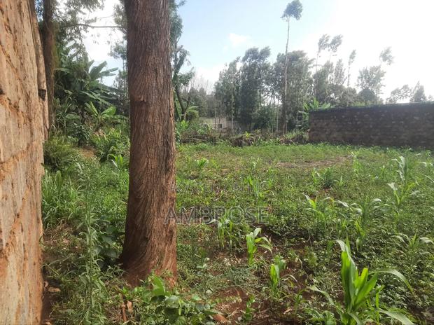 50*100 Prime Land in Gakwegori, Embu - thumbnail 12