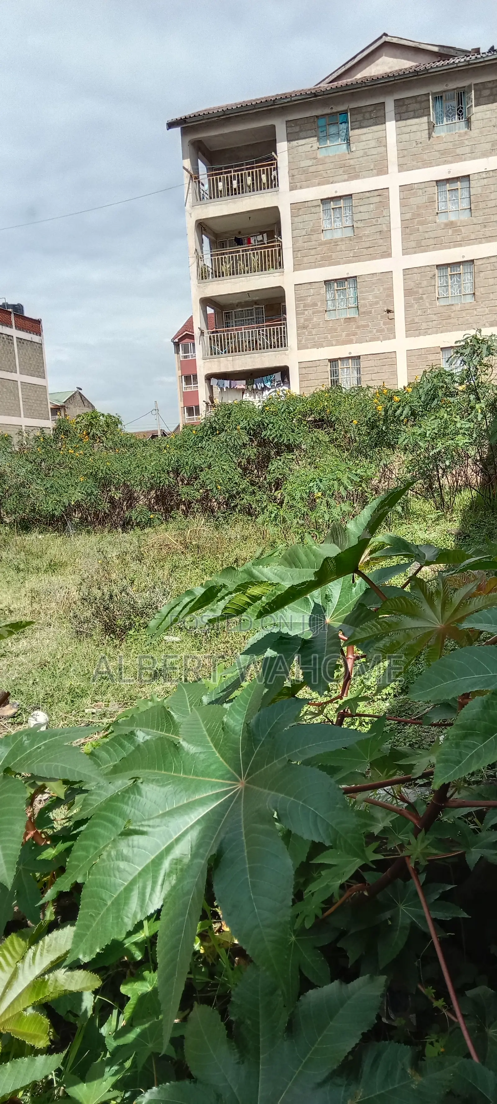 Land for Sale