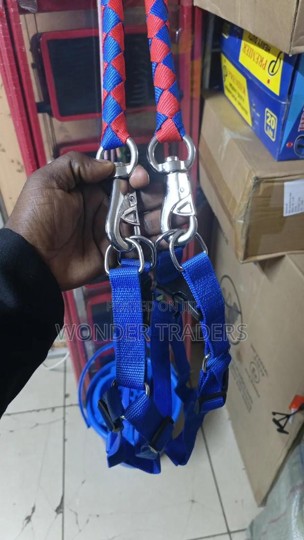 German Shepherd Harness - main view