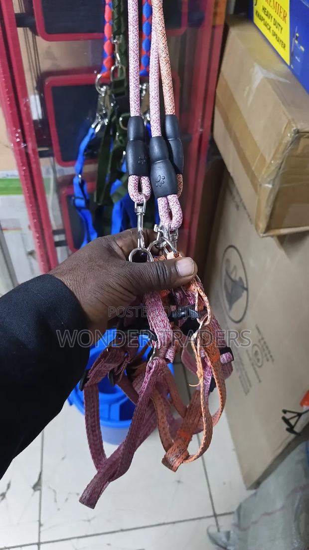 German Shepherd Leash + Harness - main view