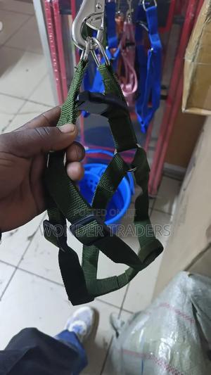 Dog Leash / Harness With Collar - thumbnail 2