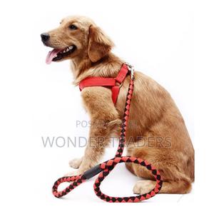 Dog Leash / Harness With Collar( Adjustable) - thumbnail 2