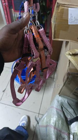 Chiwawa Dog Leash / Harness With Collar - thumbnail 2