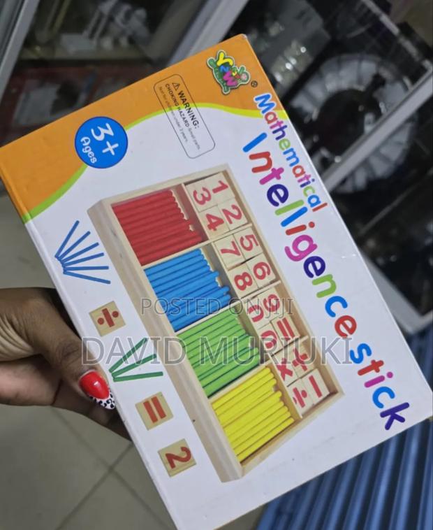 The Early Learning Mathematical Intelligence Sticks - main view
