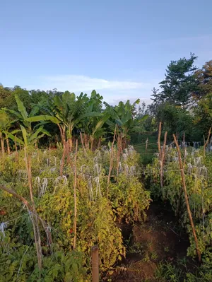 2 Acres for Sale in Kutus,Kirinyaga County.