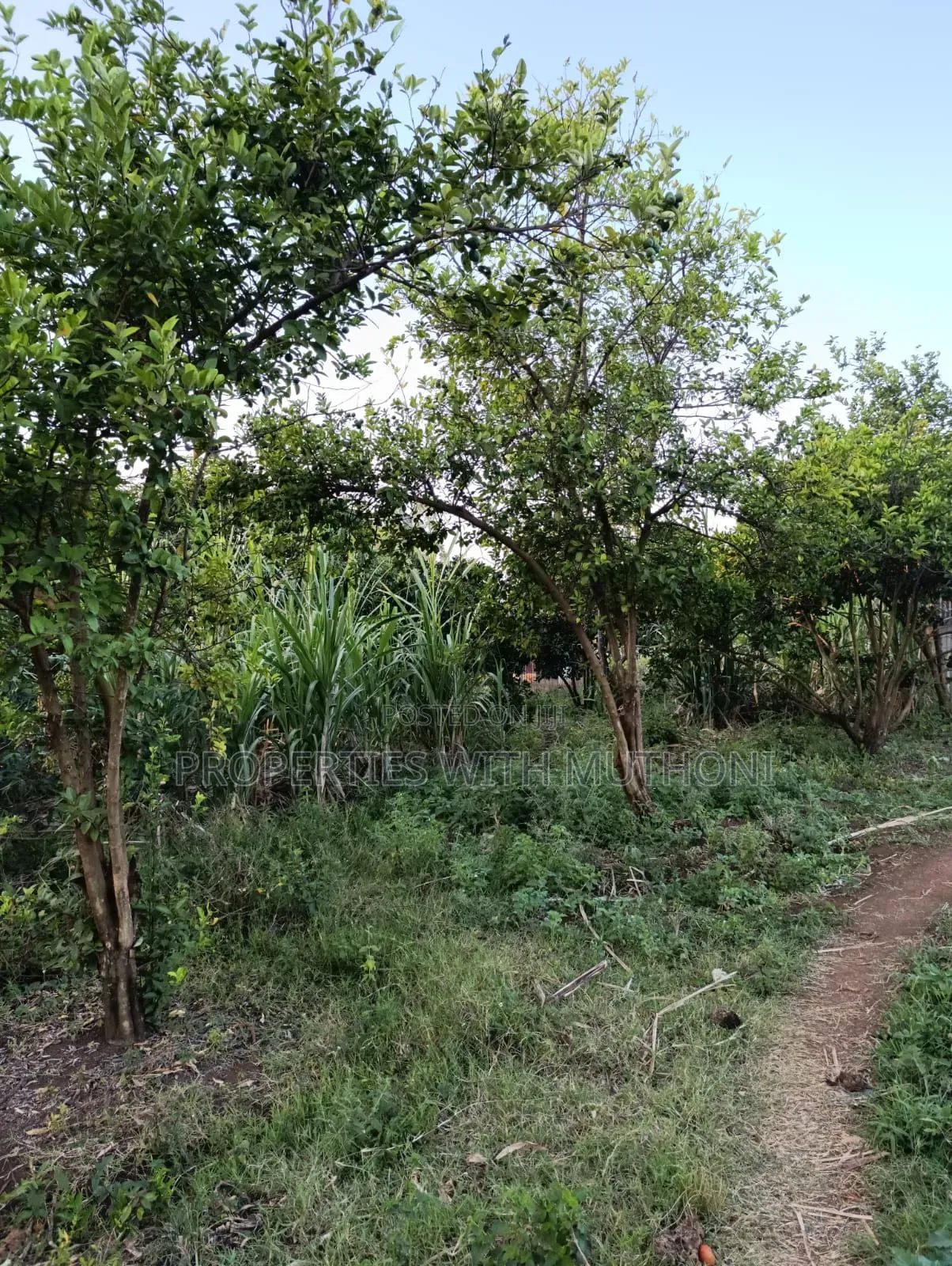 2 Acres for Sale in Kutus,Kirinyaga County.