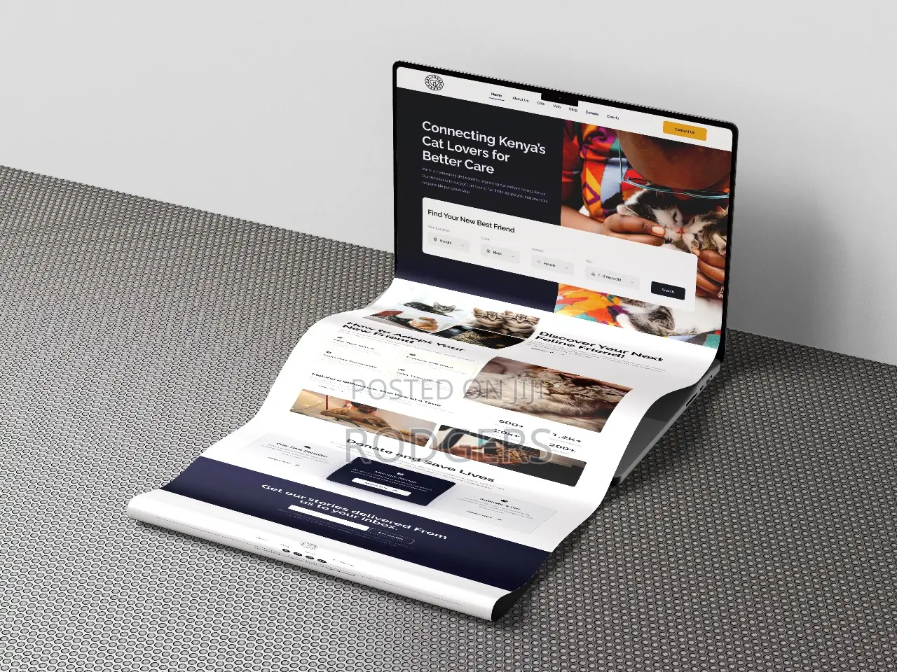 Website Design
