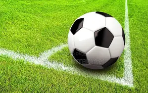 Turf Grass Carpets