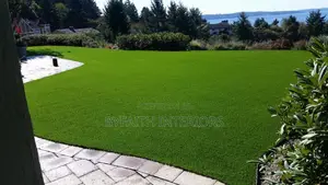 Lush Grass Carpets