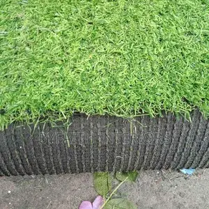 Inviting Grass Carpets