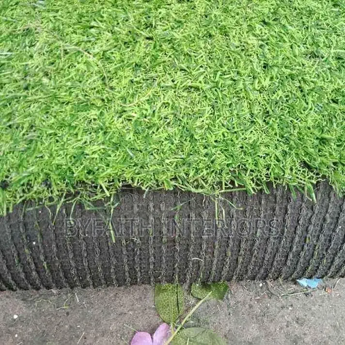 Inviting Grass Carpets