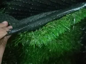 Inviting Grass Carpets