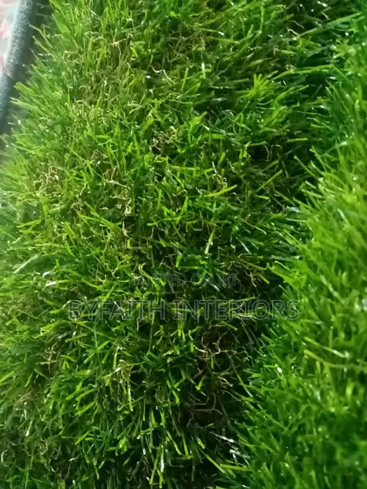 Inviting Grass Carpets