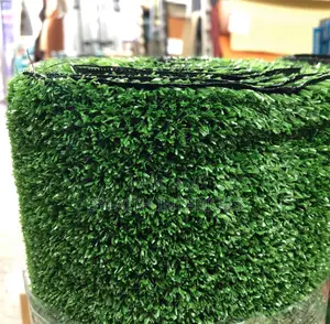 Welcoming Grass Carpets
