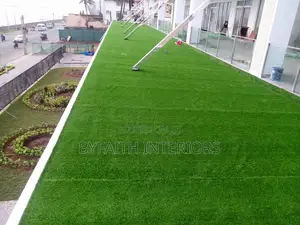 Low Maintainance Grass Carpets