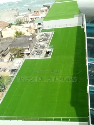 Low Maintainance Grass Carpets
