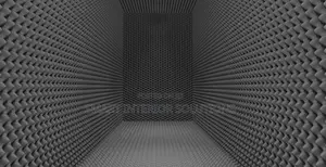 Ceiling and Wall Sound Proof
