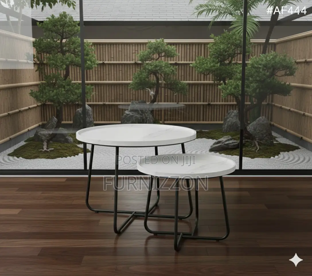Durable White Metal Tea Table Set (2)