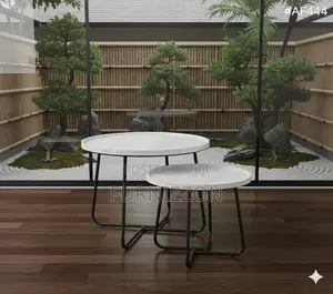 Durable White Metal Tea Table Set (2)
