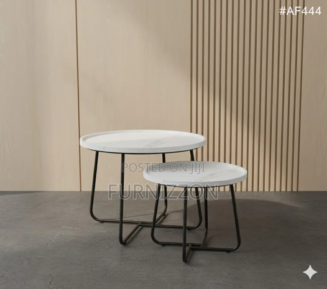 Multi-Purpose White Metal Tea Table Set (2)