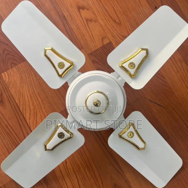 Roch 24-Inch Compact Ceiling Fan With Quiet Motor